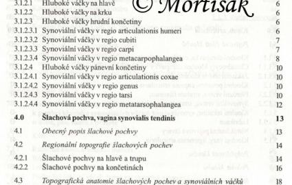 anatomie-synovilnch-tvar-konetin-kon-psa-skotu-a-prasete-pro-studium-a-praxi-1