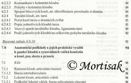 anatomie-synovilnch-tvar-konetin-kon-psa-skotu-a-prasete-pro-studium-a-praxi-3