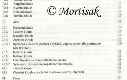 anatomie-synovilnch-tvar-konetin-kon-psa-skotu-a-prasete-pro-studium-a-praxi-4