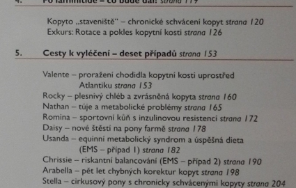 diagnza-schvcen-kopyt-2