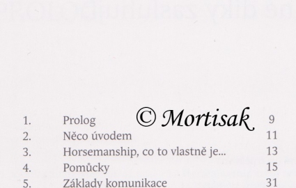 horsemanship-pirozen-jezdectv_0