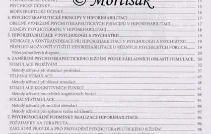 Když kůň léčí duši, aneb metodika hiporehablitace zaměřená na klienty s duševním onemocněním 2