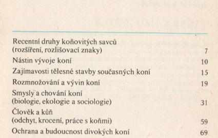 zvata-celho-svta-kon-osli-a-zebry