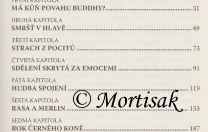 S koněm mezi světy 2