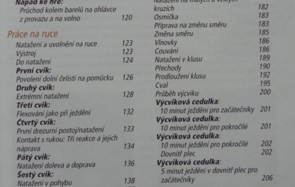 vcvik-kon-podle-bey-borelle-2